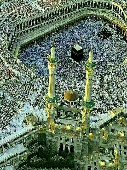 رويال
